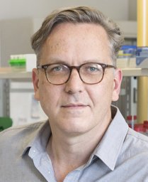 Hemmo H. Meyer