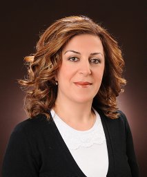 Sema Y. Gurgoze