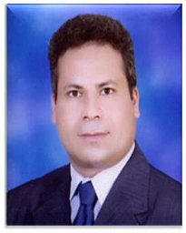 Abo-Amer Aly E