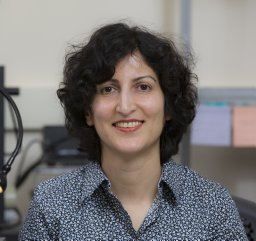 Shahrzad Towfighian
