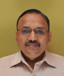 Parikh Bharat J