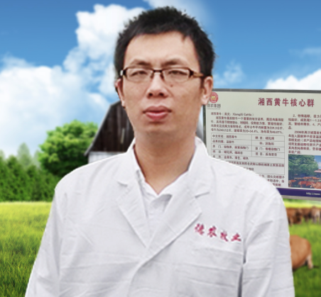 Kangle Yi