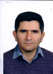 Hossein Naeemipour Younesi