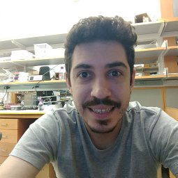 Vitor Rosetto Muñoz