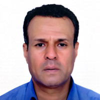 Nabil A. Ahmed