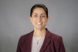 Elham Erfanian