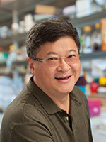 Terry Hwa