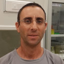 Tamir Ofek