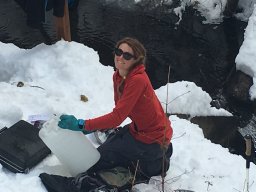 Thaw Melissa