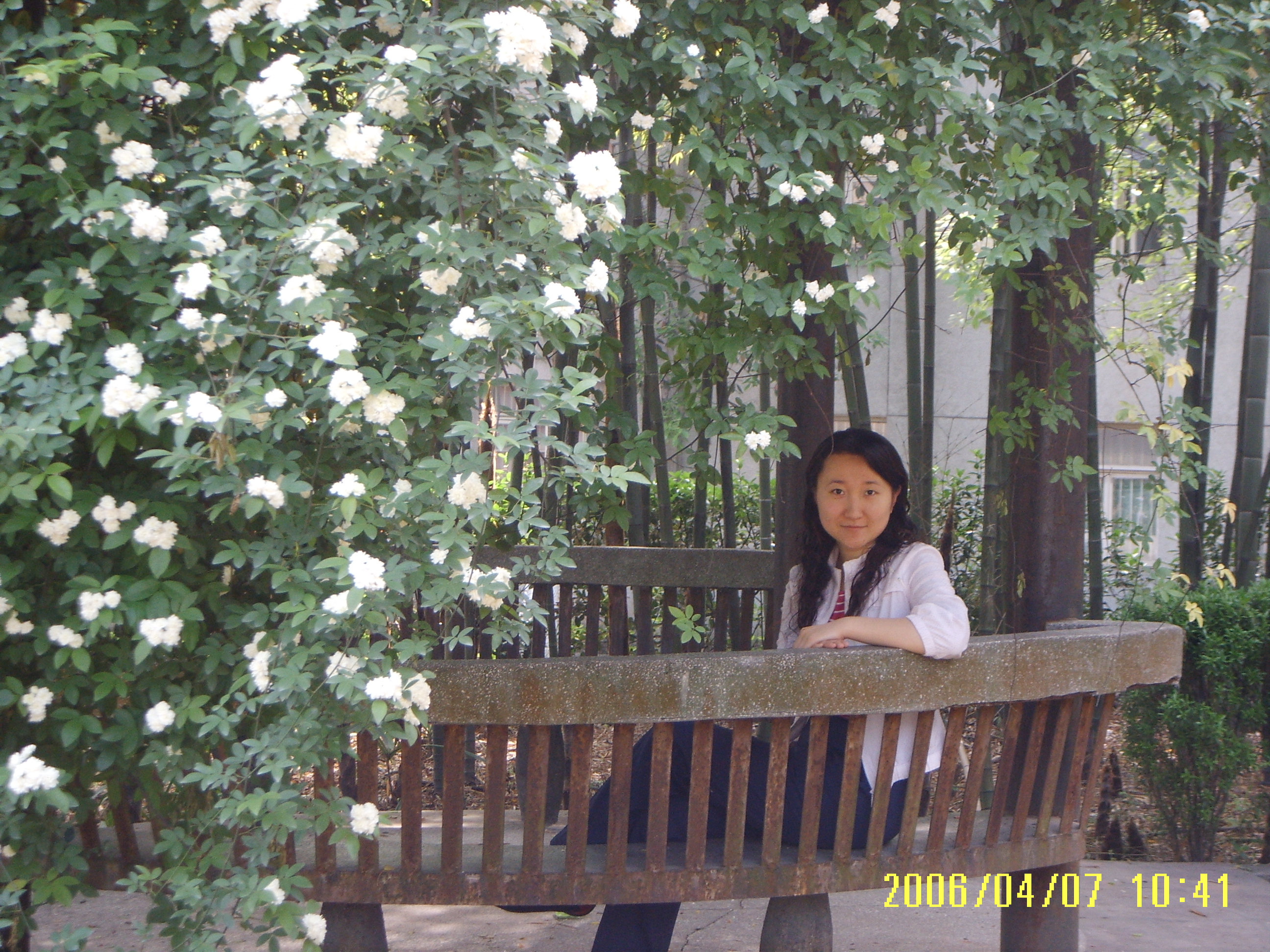 Xia Zhou