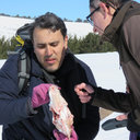 Morteza Naderi