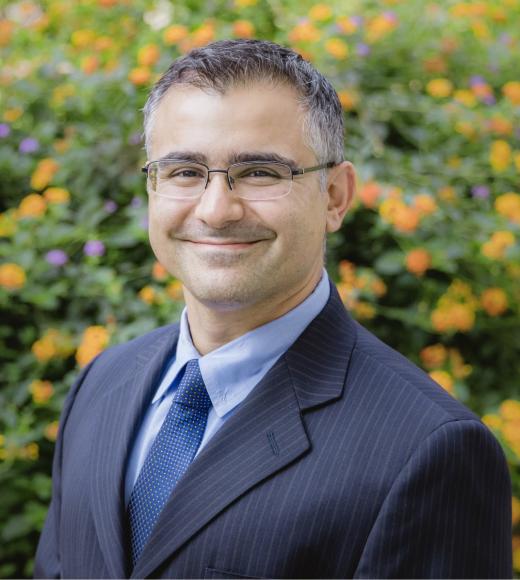 Ricardo H. R. Castro