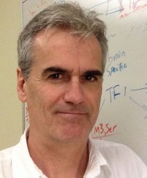 Russell L Finley