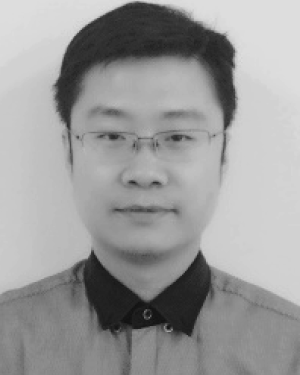 Qilong Zhang
