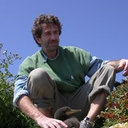 Paolo Sposimo