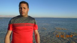 Hussein A. El-Naggar