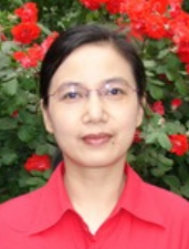 Meihua Yang