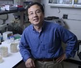 Peihua Jiang