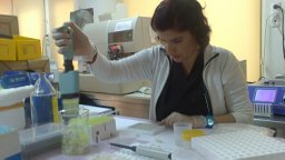 Ayse Yesim Gocmen