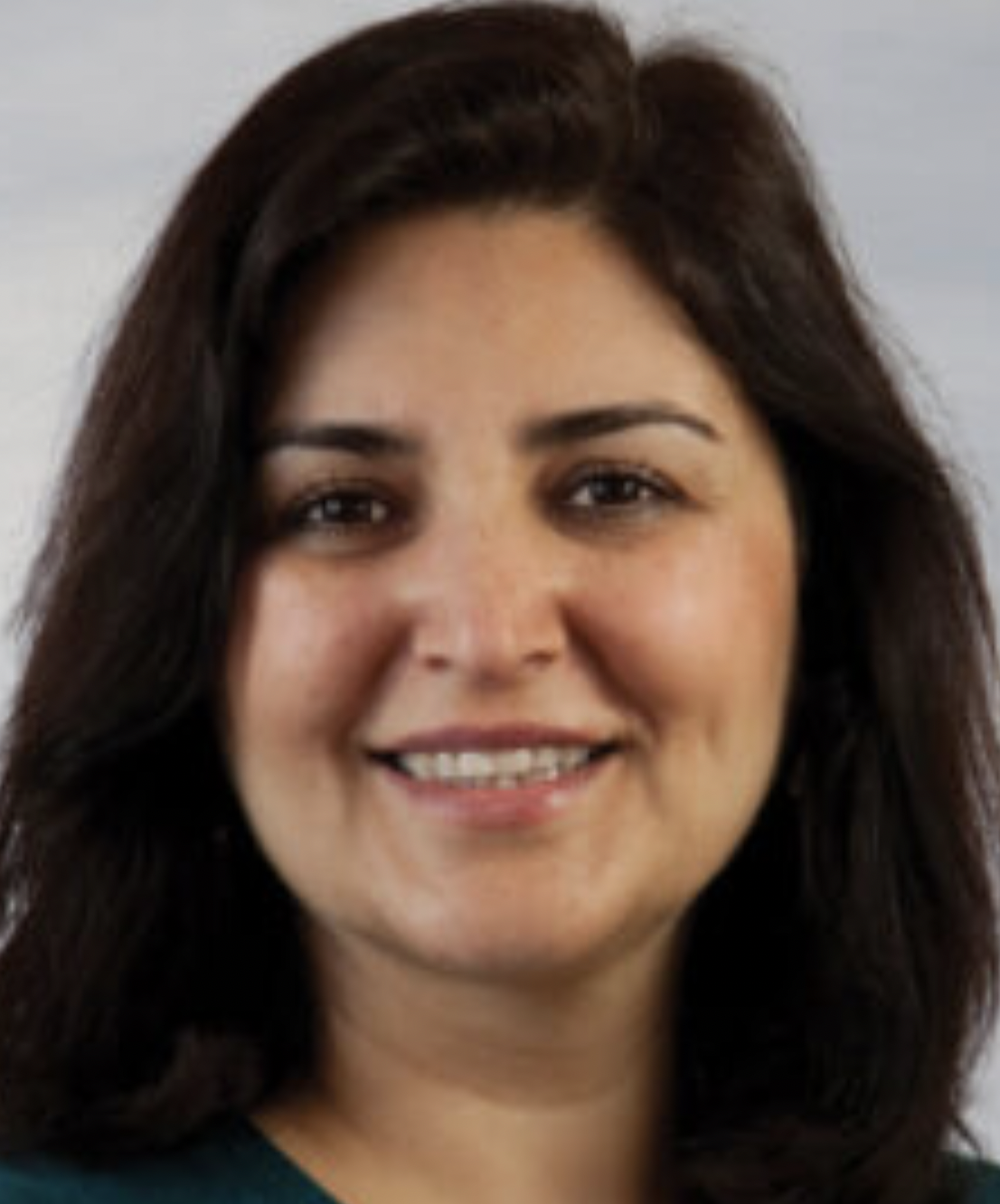 Taraneh Sowlati