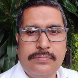 Dhiraj K. Singh