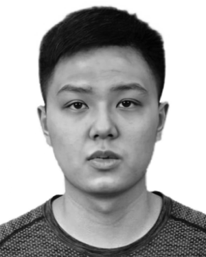Jiajie Long