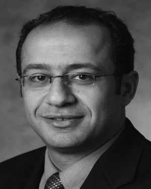Alhussein A. Abouzeid