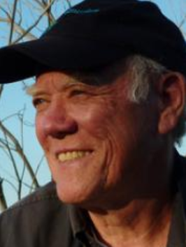 Curt Wentrup