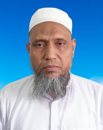 M. E. Haque