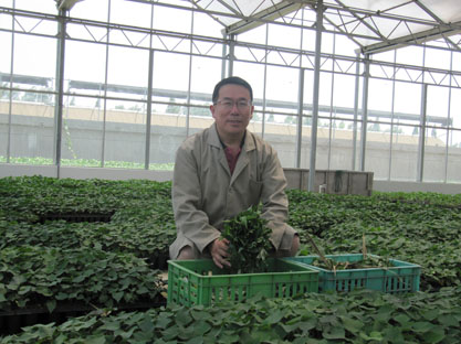 Qiang Li