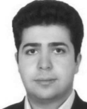 Mehdi Habibi
