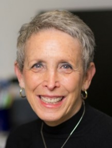 Susan T Weintraub