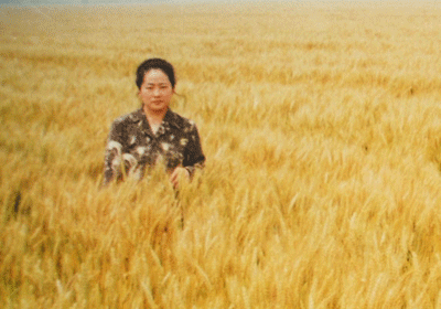 Rui Wang