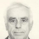 V. I. Rostokin