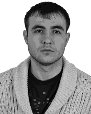 D. S. Milakhin