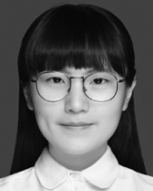 Wenjun Qi