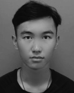 Yichen He