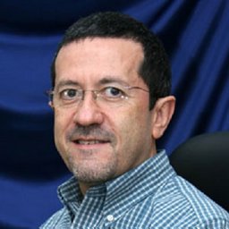 L. Servin-Gonzalez