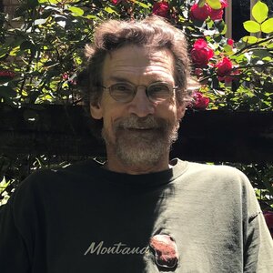Bernard Beall