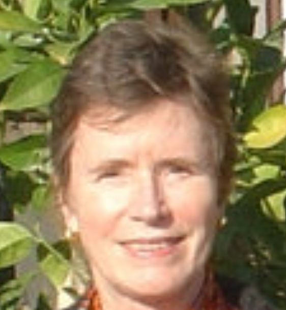 Sarah E. Hitchcock-DeGregori