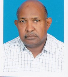 Abbasher M. Gismelseed