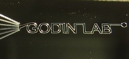 Michel Godin