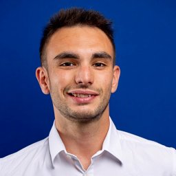 Alessandro Viani