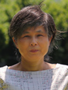 Jinmei Lai