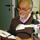 Paride Dioli