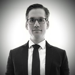 Niels T. Hintzen
