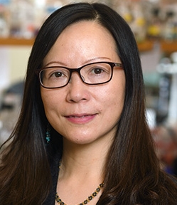 Yuhong Du