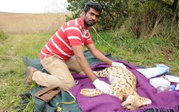 Tharmalingam Ramesh