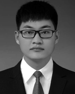 Xin Zhi Liu