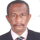 Diaeldin A Salih